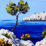 Bord_de_calanque