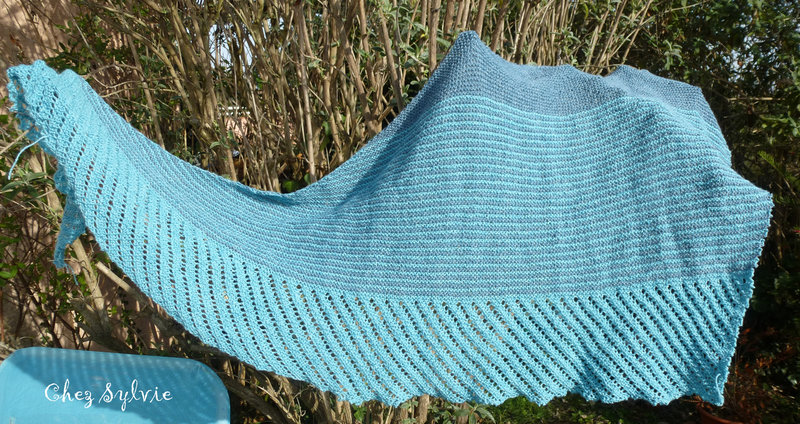 Châle Caméo turquoise au 23-01-07bis