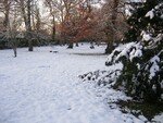 photo_blog_016