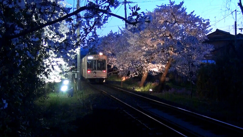 2018-sakura du kansai(12)