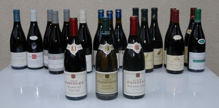 Vin_Bourgogne_NSG Faiveley