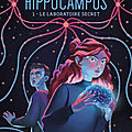 <b>Hippocampus</b>