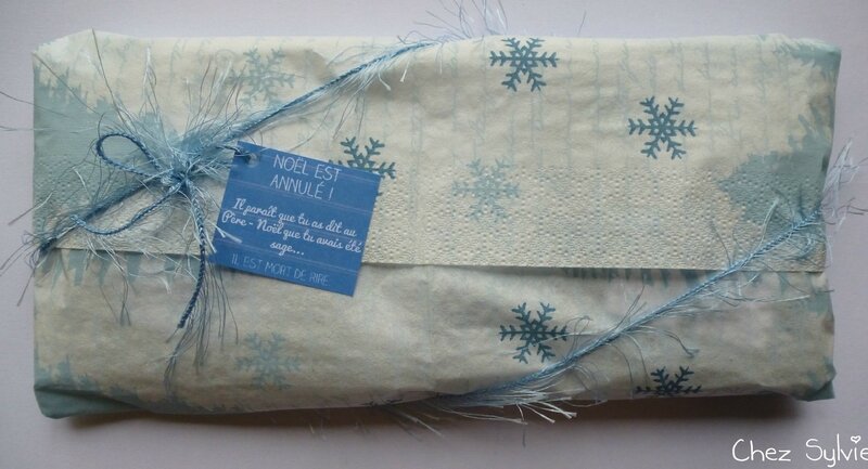 PL29 Noël bleu CSA pochette