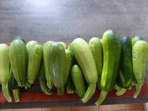 8-courgettes (2)