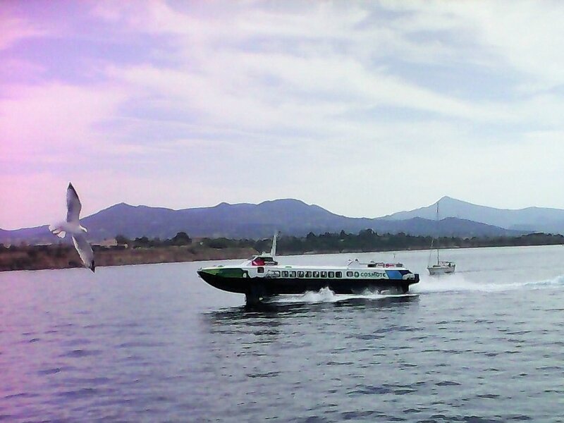 vue degine avec la mouette et le flying