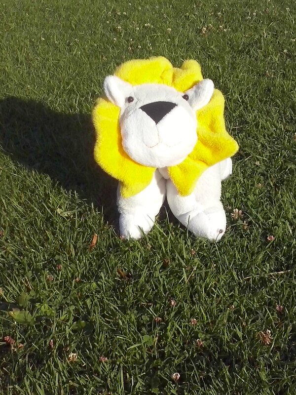 Som'Ba en peluche lion