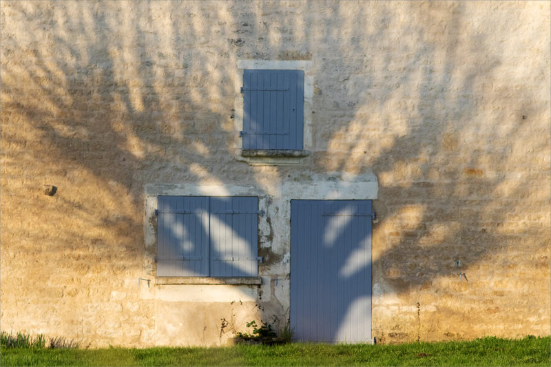 Roussille matin 270222 1 ym projection ombre arbre