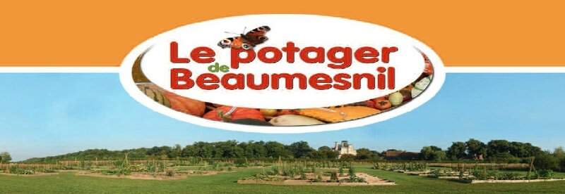 Logo Beaumesnilc