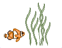 gbiseafish5anim