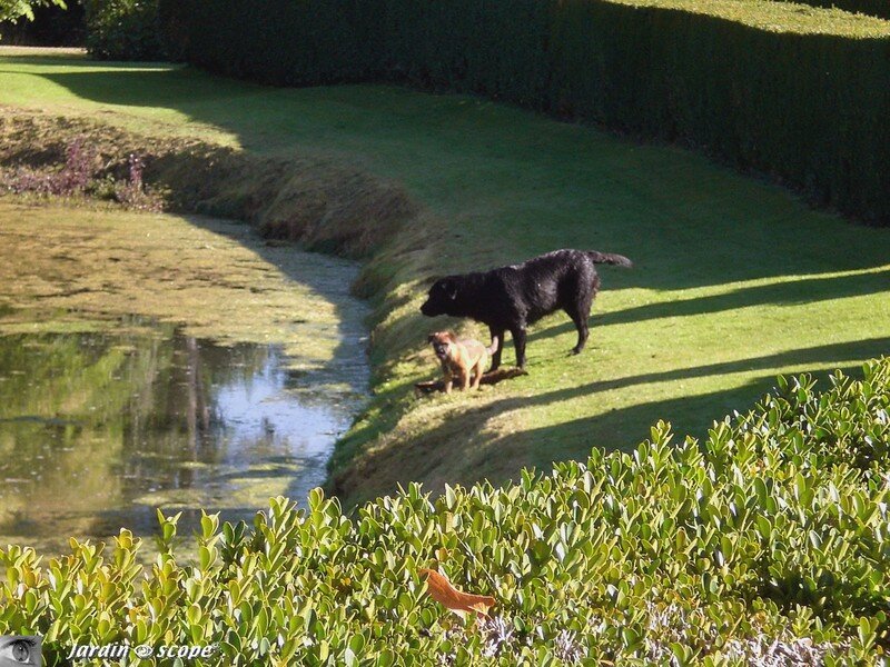 Deux habitués des lieux…!
