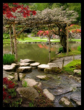 Japanese_Garden_4_by_Lalianna_Nyrobi