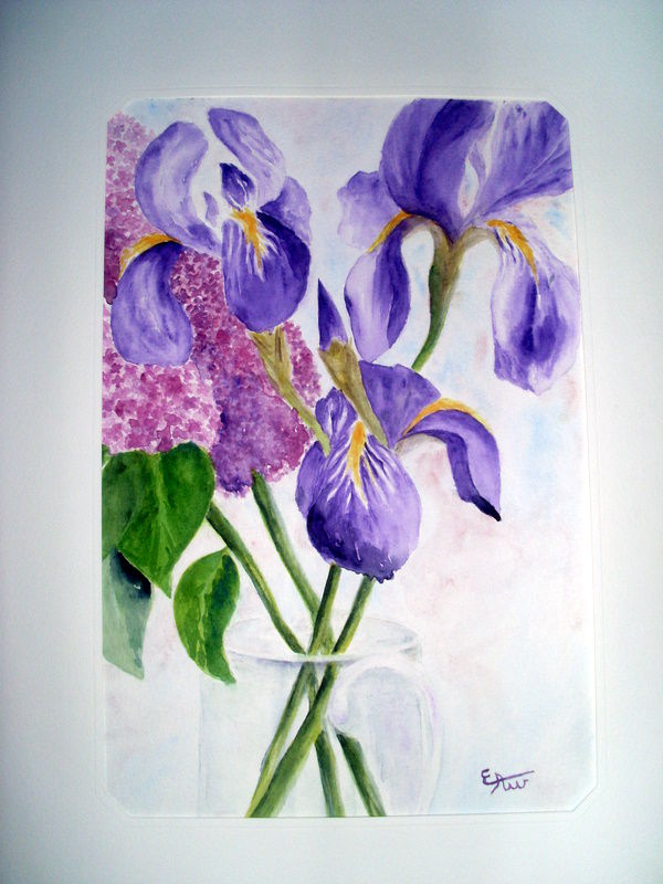 iris et lilas 2009