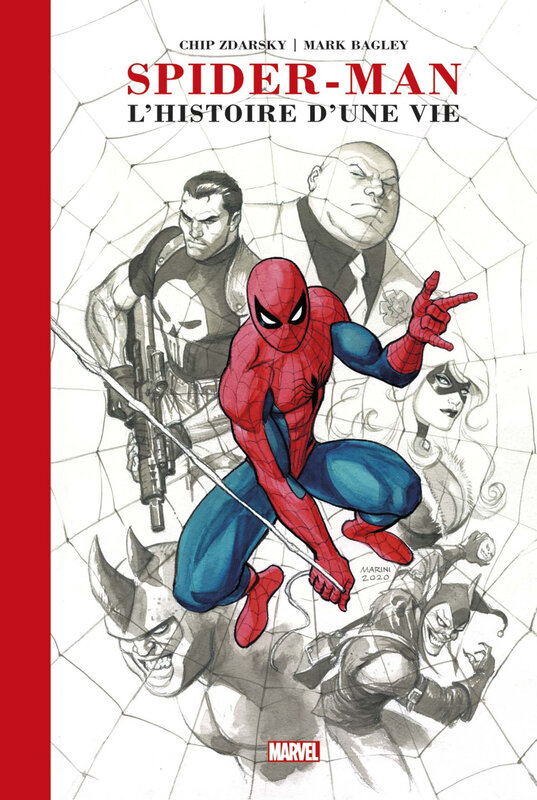 artist edition spiderman l'histoire d'une vie