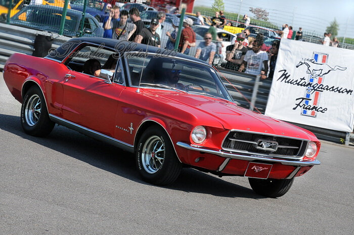Mustangnats_Tasunkaphotos2018_18