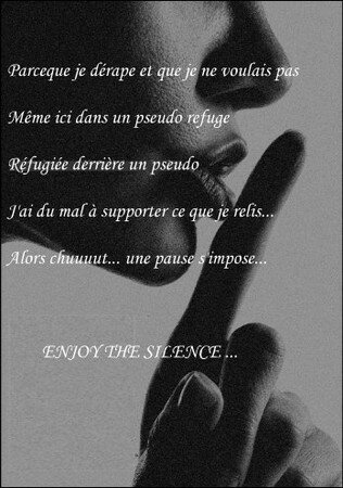 enjoy_silence2