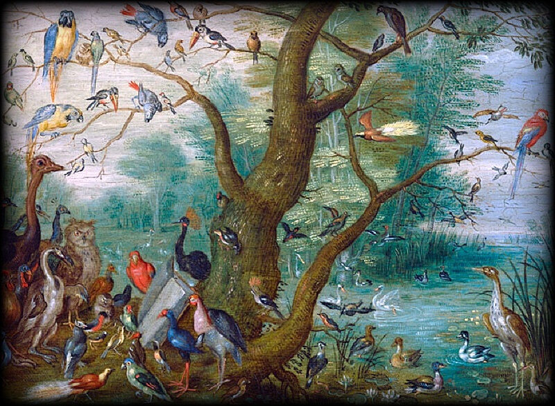 Jan-van-Kessel-Concert-of-Birds-1660-1670©