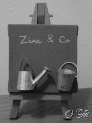 zinc11