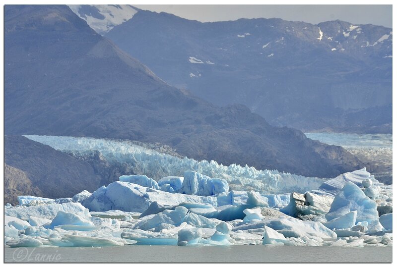 _Argentine_500_glacier_Upsala