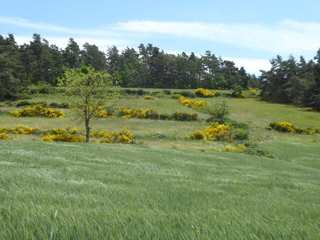 a14