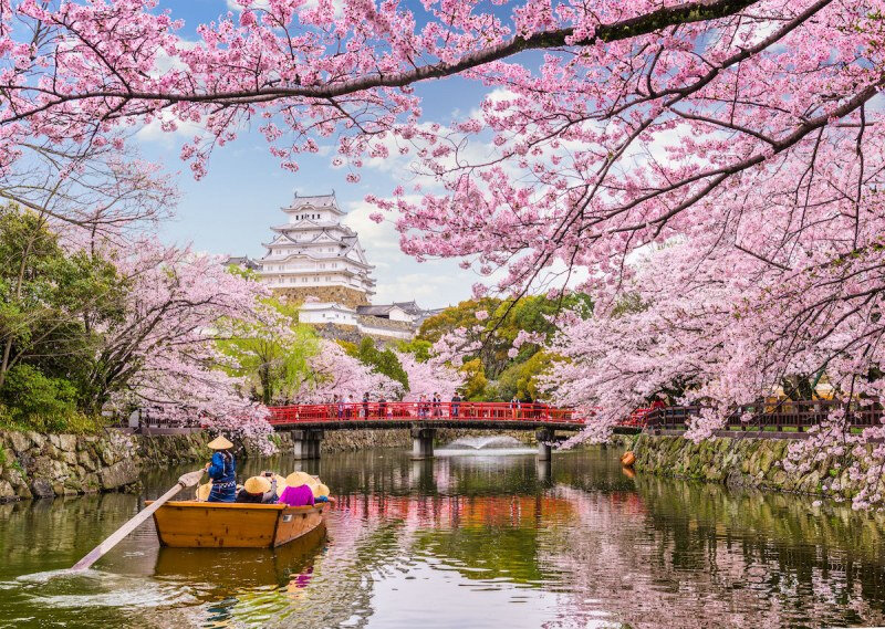 printemps_2020_ou_et_quand_admirer_les_cerisiers_en_fleurs_cette_annee_au_japon_y_12333