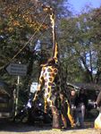girafe19f