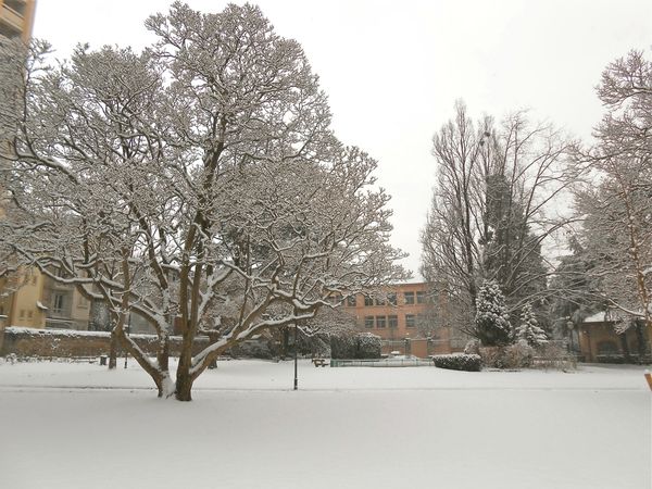 neige (8) 15 janv 2013