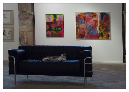 chat_canape_expo_couleurs_082010