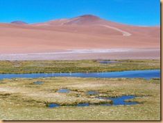 Désert d'Atacama (du Paso de Jama à San Pedro) (13)