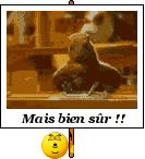 maisbiensurgb2_1_