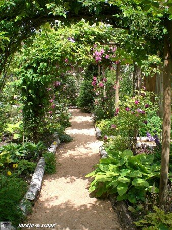 Jardin privé du rosiériste André EVE
