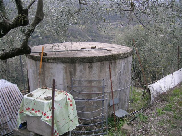 Dolceacqua Rosa 080