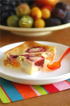 Clafoutis questche, abricot, prune, mirabelle & citron_1