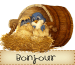 bonjour_birds