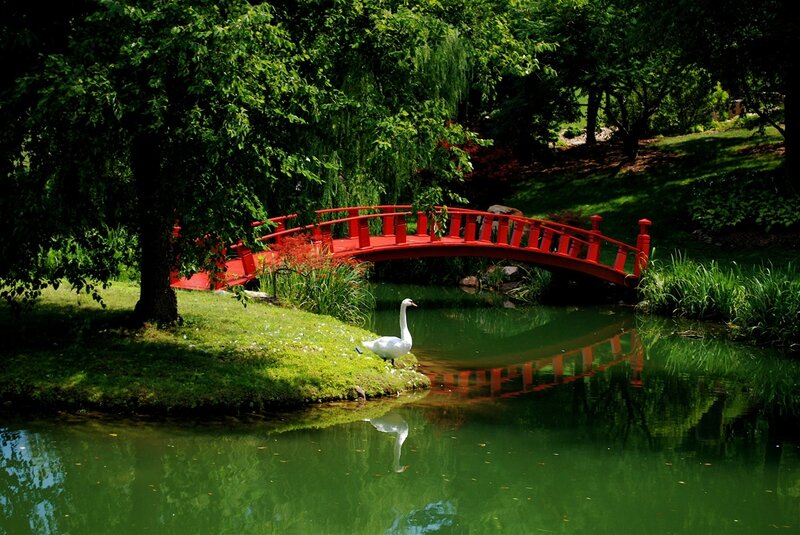 Pont-rouge-Jardin-Chinois