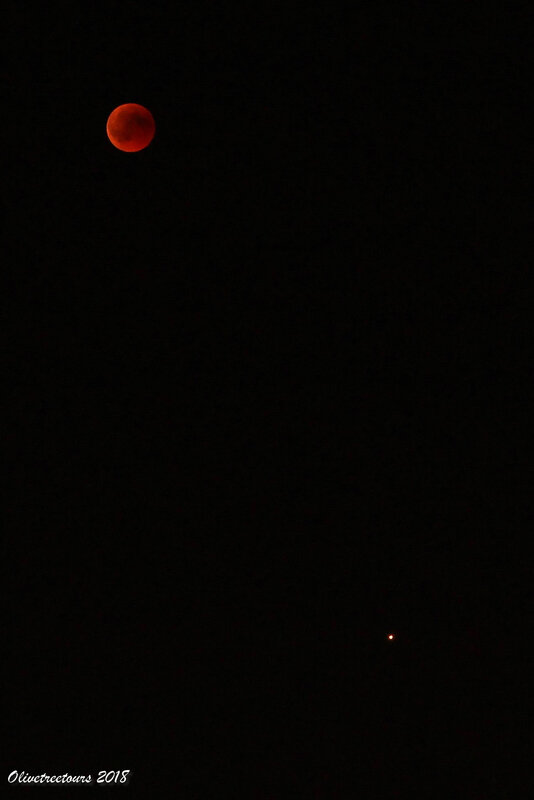 Lune éclipsée et Mars / Eclipsed Moon and Mars