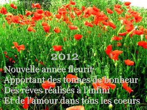 BONNE ANNEE 2012 - coquelicots
