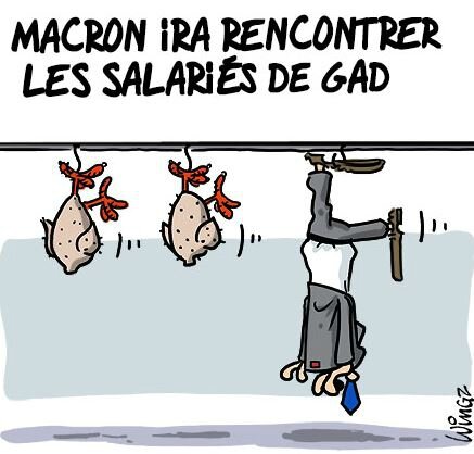 Macron humour