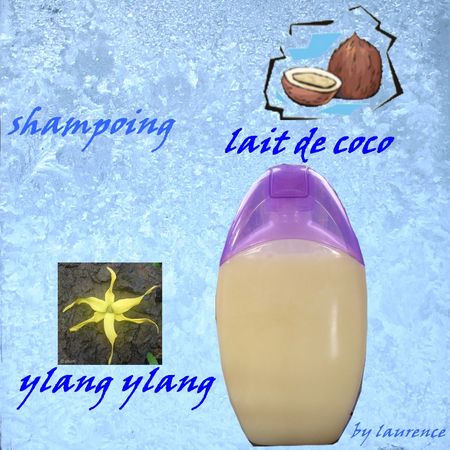 shampoing_coco_ylang