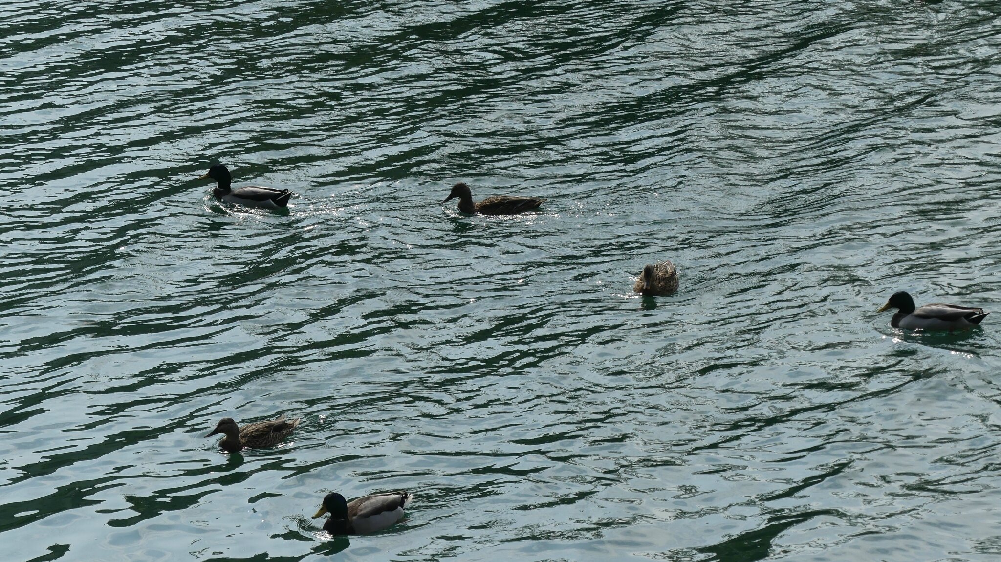 P1070281