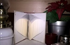 livre coeur Michel Noël 2017
