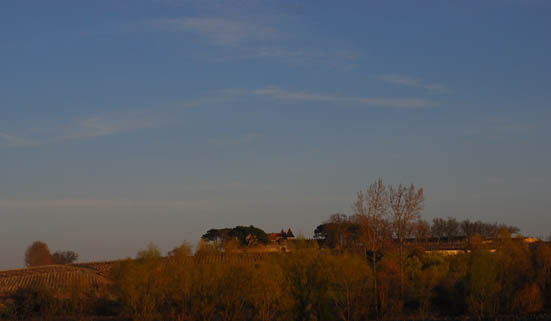 yquem2
