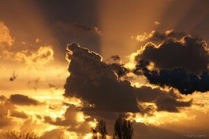 IMG_0882