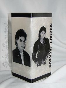 Michael Jackson N°1 (8) (Copier)