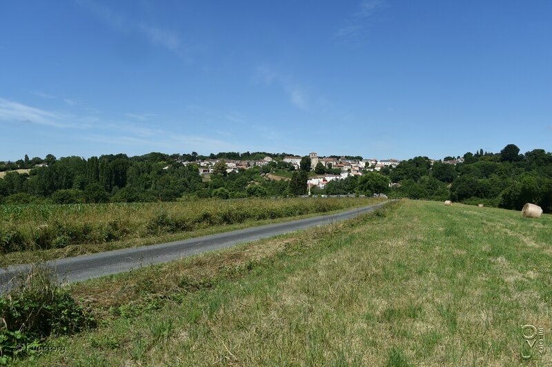 PUY_0445