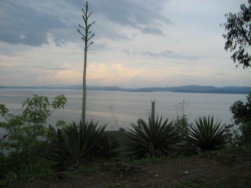 Le lac Kivu