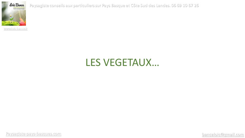 Paysagiste-Pays-Basque-Paysagiste-Mouguerre-Elisaberry-43