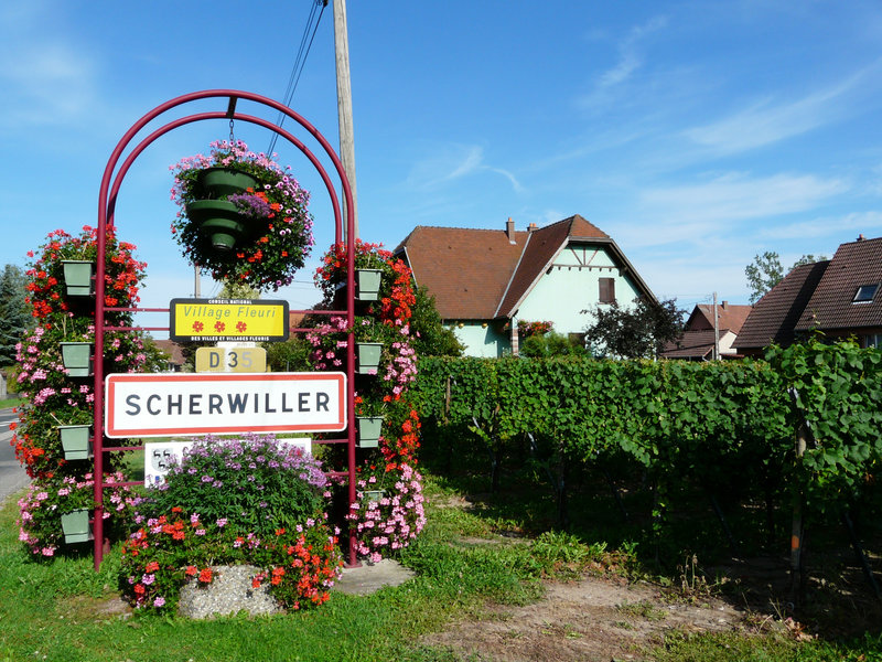 Scherwiller (2)