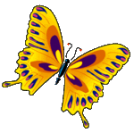 papillon_4
