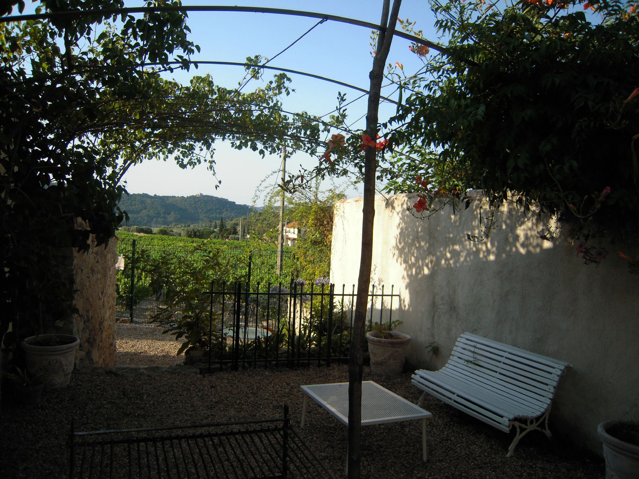 DSCN5059