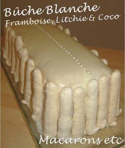 Bûche blanche 1